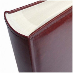 Album BB 46300-2 Brandy-DB