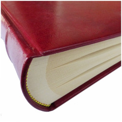 Album GS-100  bordo  (kremowe karty)