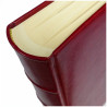 Album GS-100  bordo  (kremowe karty)