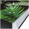 Album BB 46300-2 Maranta