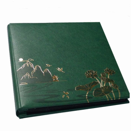 Album SB 46500 Locus zielony