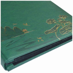 Album SB 46500 Locus zielony