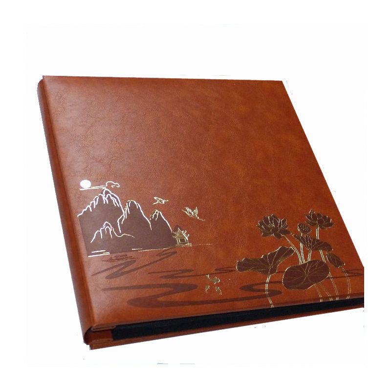 Album SB 46500 Locus brąz