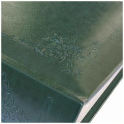 Album BB 46200  Remo-GR