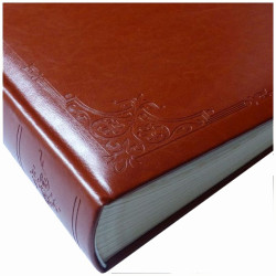 Album BB 46600 Remo-L