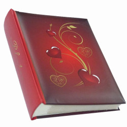 Album BB 46200 Lessa