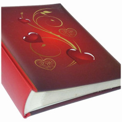 Album BB 46200 Lessa