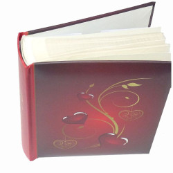 Album BB 46200 Lessa