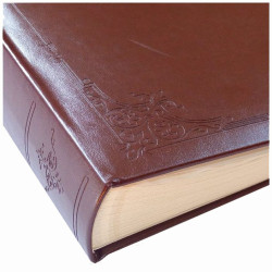 Album BD-100 Remo-D (kremowe karty)