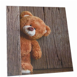 Album MM 46500 Ted