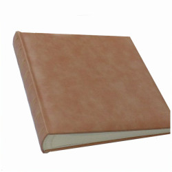 Album BD-100 Stamp-R...
