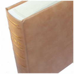 Album BD-100 Stamp-R (kremowe karty)