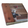 Album BB 46-500 Ted